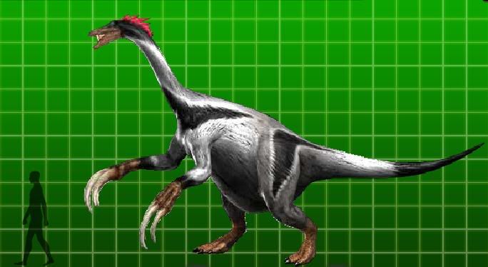 therizinosaurus family